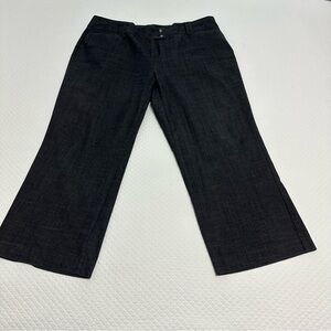 Cato Woman Trouser Pant Sz 20WP